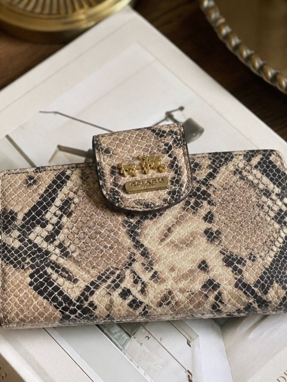Coach Python Print Tan & Black Snakeskin-Print 7x4 Wallet